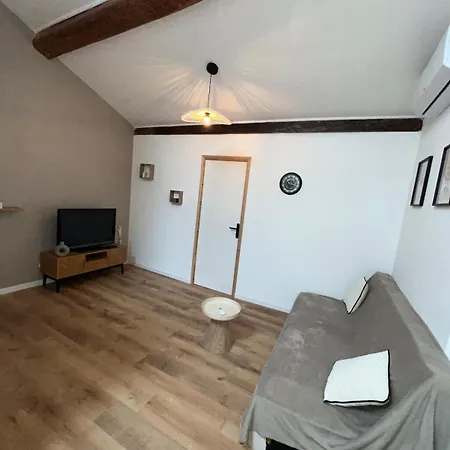 Apartmán Au Coeur Du Centre De Mirepoix (Ariege)