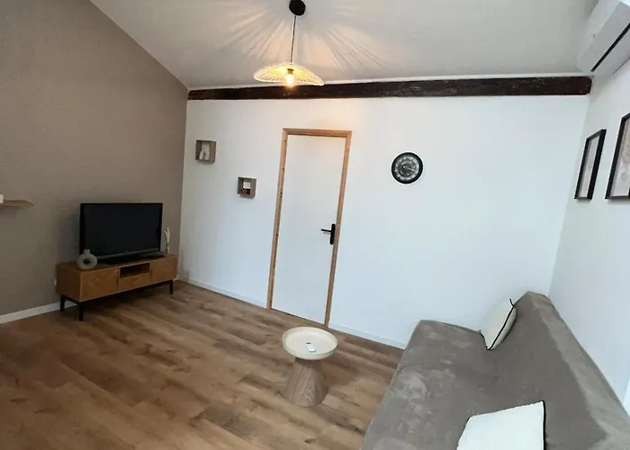 Appartement Au Coeur Du Centre De Mirepoix (Ariege)